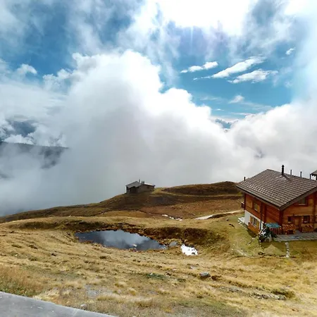 Daire Bim Gillo Bg1 Belalp